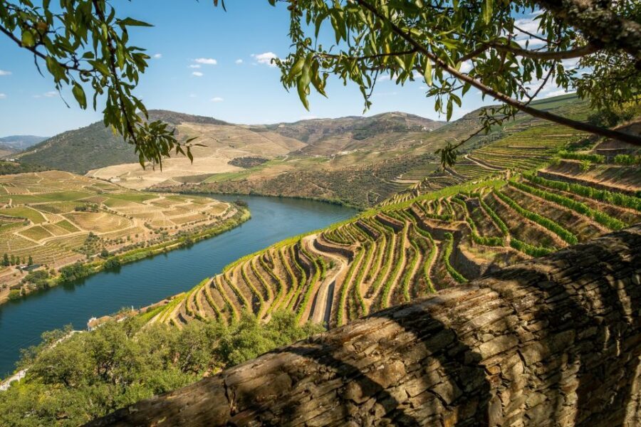 From Porto: Douro Valley Tour with Tastings, Boat & Lunch - Final call: should you book this Douro Valley tour?