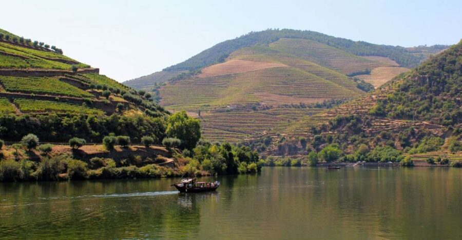 From Porto: Douro Valley Tour with Tastings, Boat & Lunch - Typical Portuguese lunch with Douro wines: where the day slows just enough