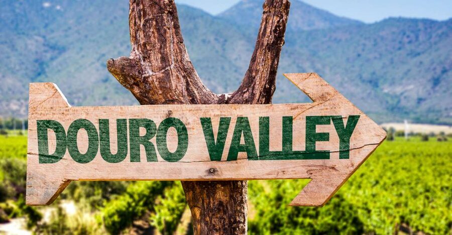 From Porto: Douro Valley w/ Boat Tour, Wine Tasting & Lunch - The coach ride details that matter for comfort
