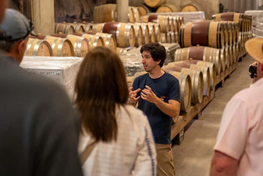 From Porto: Douro Valley Wine Tour with Lunch and Cruise - The return to Porto: tired, happy, and properly done