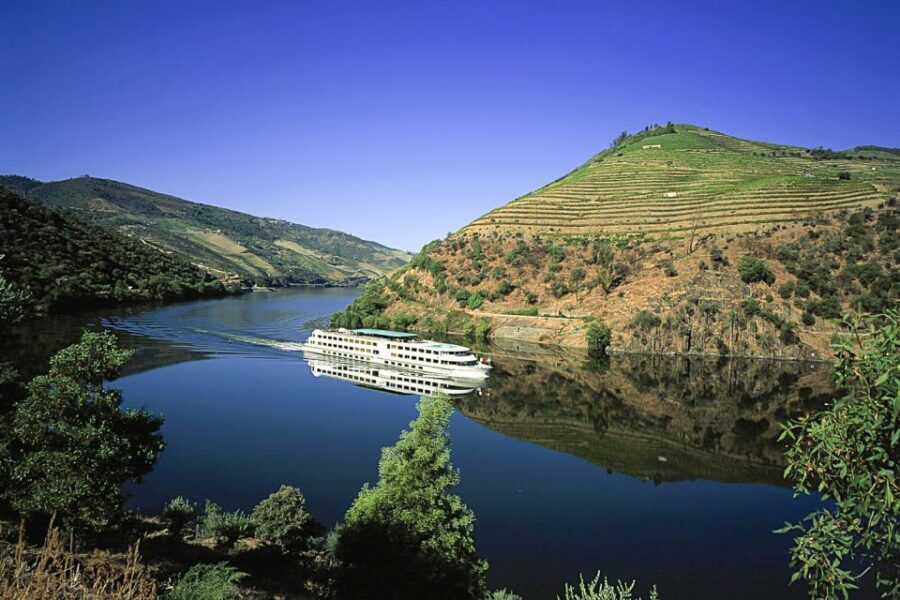 From Porto: Full-Day Douro Historical Tour - Key Highlights You’ll Notice Right Away