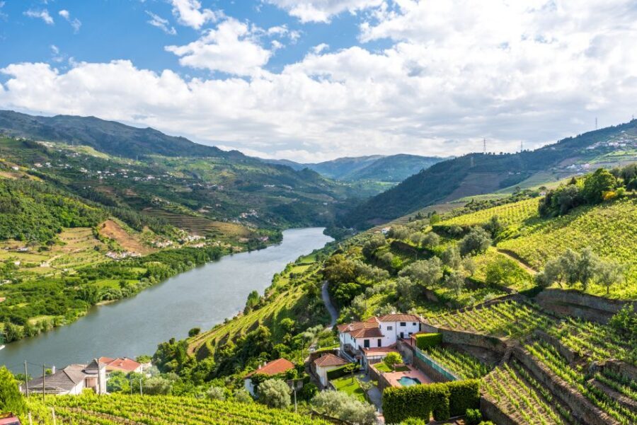 From Porto: Full-Day Douro Historical Tour - One-Day Douro from Porto: What You Really Get for $104