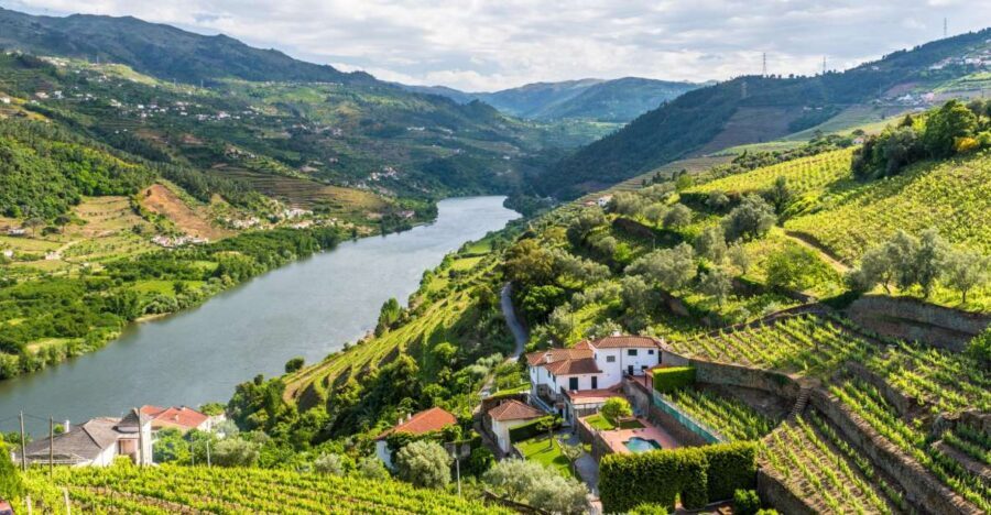 From Porto: Full-Day Douro Historical Tour - Amarante on the River: Monastery of Saint Gonçalo Plus Real Free Time