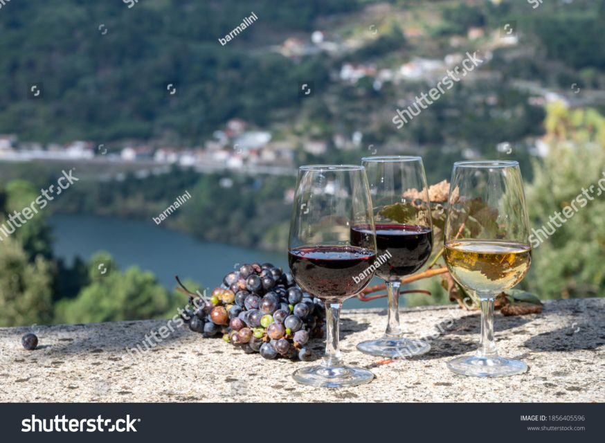 From Porto: Full-Day Douro Historical Tour - Getting to the Meeting Point Near São Bento (and Why It Helps)