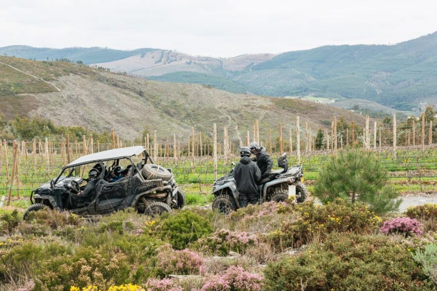 From Porto: Off-Road Buggy Adventure - Key highlights you’ll feel in your bones