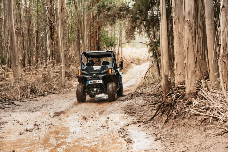 From Porto: Off-Road Buggy Adventure - 7) Getting to the start in Porto: meeting point and pickup windows