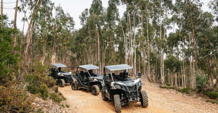 From Porto: Off-Road Buggy Adventure - 2) The photo-first moment: where the scenery lets you breathe