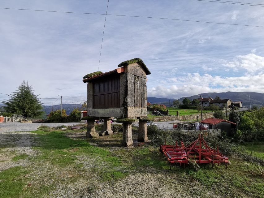 From Porto: Peneda-Gerês National Park Tour with Lunch - Participative tourism and reforestation: what your ticket supports
