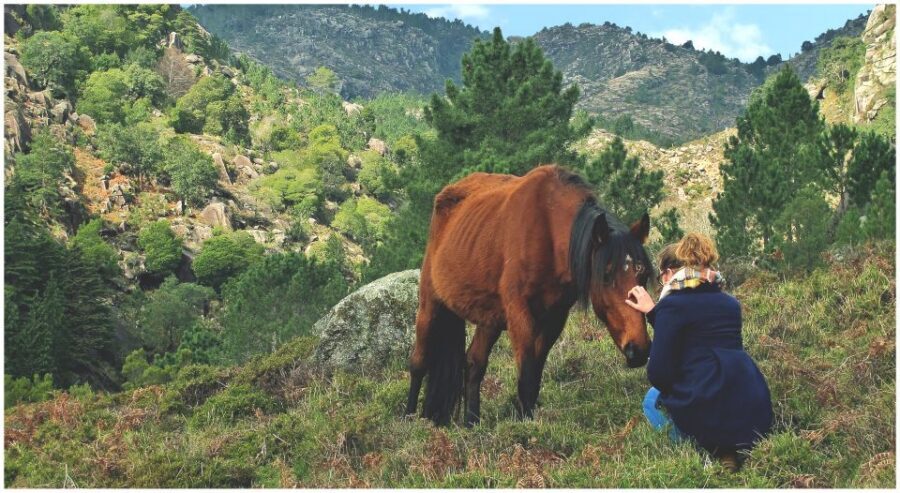 From Porto: Peneda-Gerês National Park Tour with Lunch - Walking, swimming, and the terrain you should expect