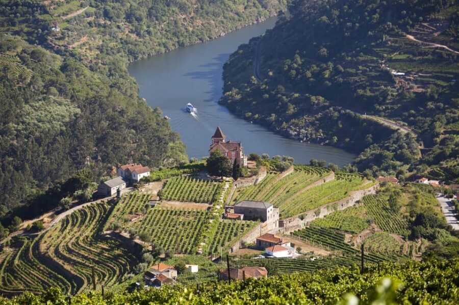 From Porto: Premium Douro Valley Small-Group Wine Tour - Should you book this Porto to Douro small-group tour?