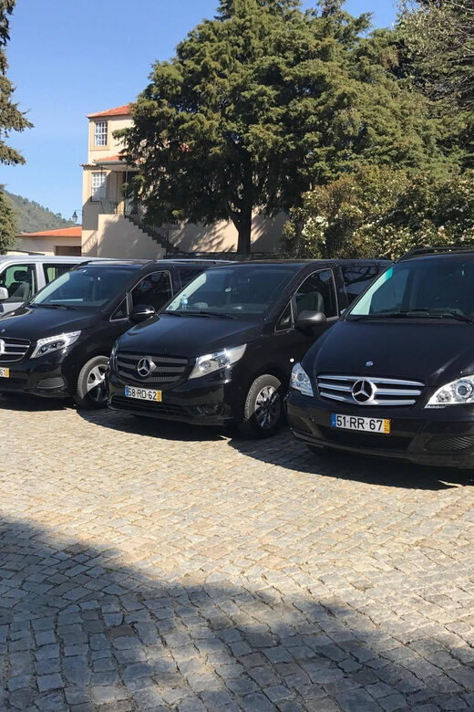 From Porto: Premium Douro Valley Small-Group Wine Tour - Lunch built for wine lovers: harmonized menu plus vintage port over fire