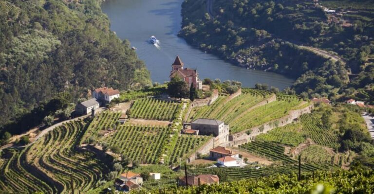 From Porto: Premium Douro Valley Small-Group Wine Tour - Winery stop #1: tastings in terraced-vineyard views