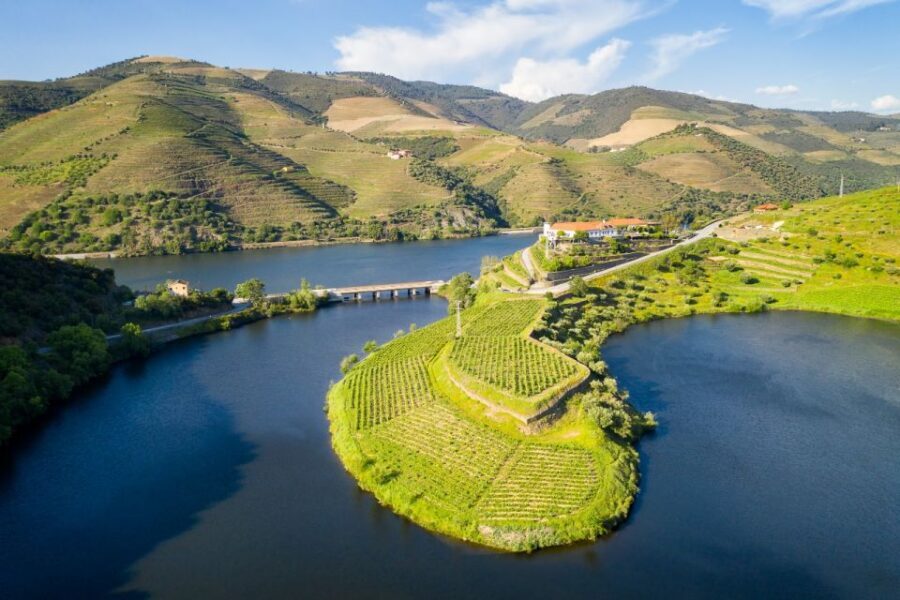 From Porto: Private Douro Valley Tour with Booking Service - Key things that make this Douro day work