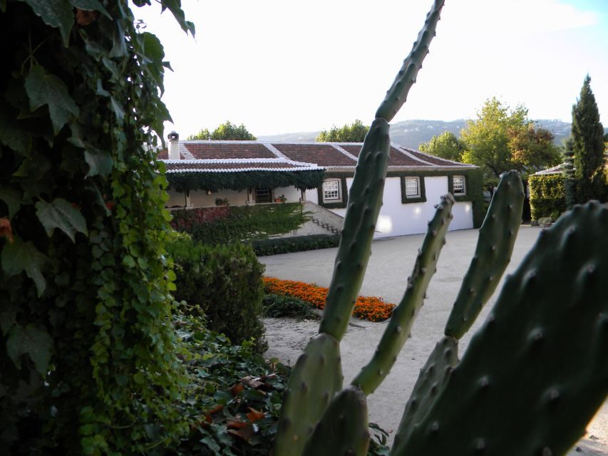 From Porto: Private Douro Valley Tour with Booking Service - Pinhão: guided time, free time, shopping, and a boat cruise