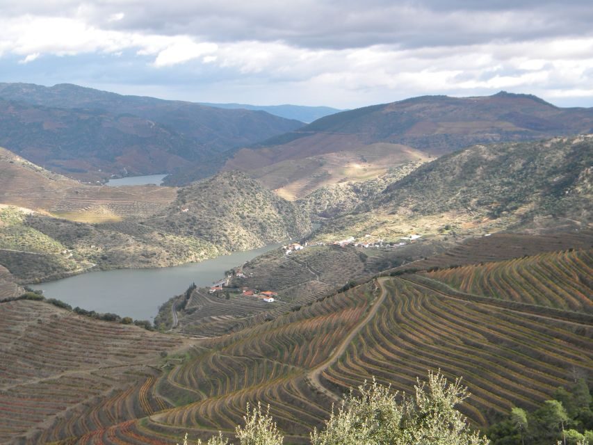 From Porto: Private Douro Valley Tour with Booking Service - Choosing cellars and tasting wines without losing your day