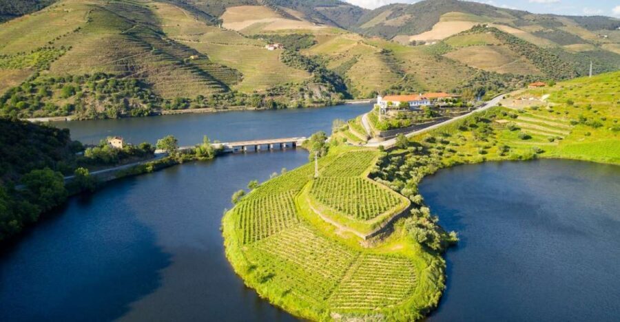 From Porto: Private Douro Valley Tour with Booking Service - Private car means you control the rhythm (and the photos)