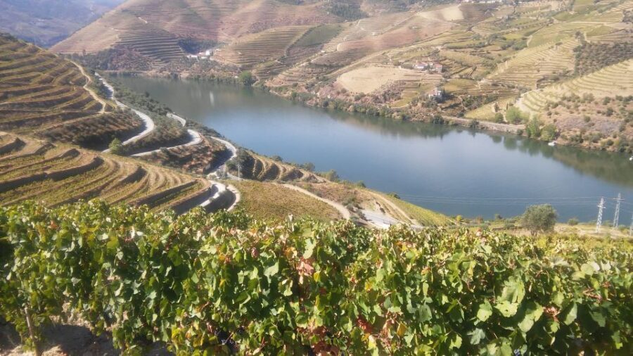 From Porto: Private Douro Valley Tour with Cruise and Wine - The river cruise: optional, but often a great reset