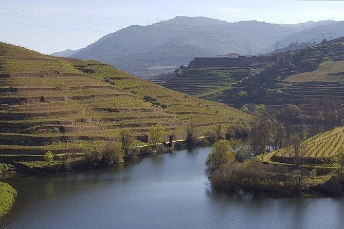 From Porto Private Tour Douro Valley two Wineries, Lunch and Boat. - Porto-to-Douro Pickup at 8:30: how the day actually starts