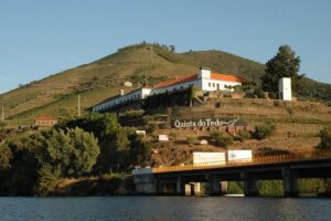 From Porto Private Tour Douro Valley two Wineries, Lunch and Boat. - Pinhão and the Douro River cruise: why the boat time matters