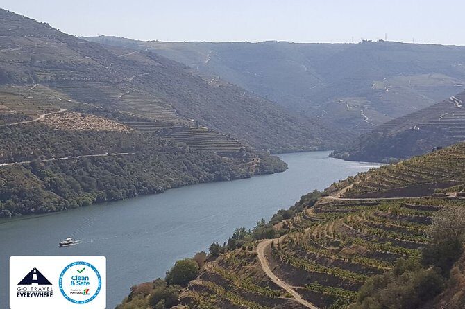 From Porto Private Tour Douro Valley two Wineries, Lunch and Boat. - Private tour feel, but real-world scheduling still applies