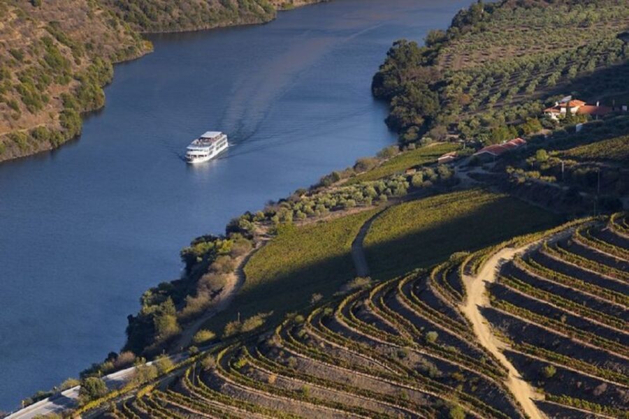 From Porto: Régua to Porto River Cruise with Lunch on Board - Porto to Régua: leaving the city behind without the stress