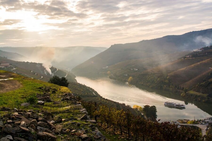 From Porto: Régua to Porto River Cruise with Lunch on Board - Should you book the Porto to Régua Douro River Cruise with Lunch?