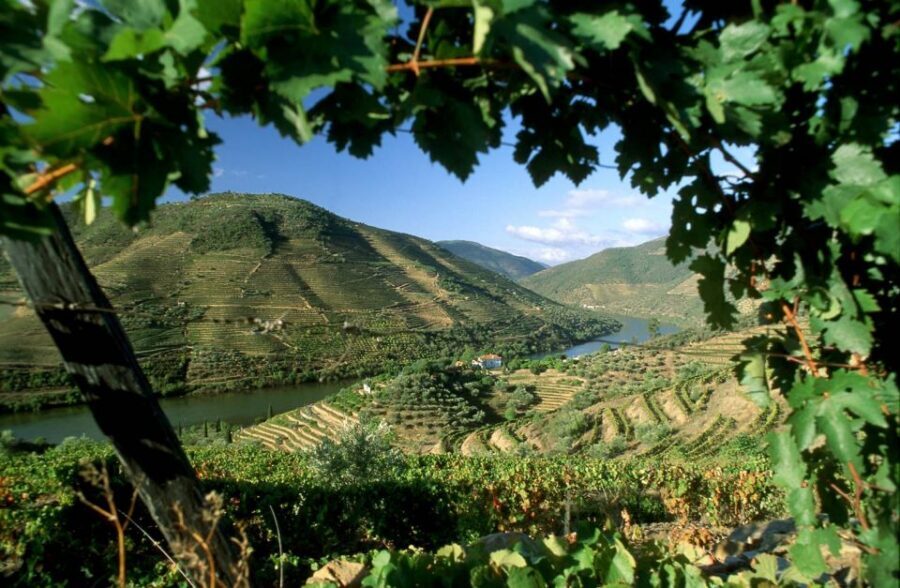 From Porto: Régua to Porto River Cruise with Lunch on Board - Peso da Régua and the UNESCO Douro wine belt