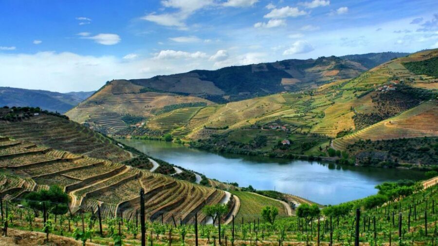 From Porto: Régua to Porto River Cruise with Lunch on Board - Carrapatelo and Crestuma-Lever: the Douro’s big engineering moments