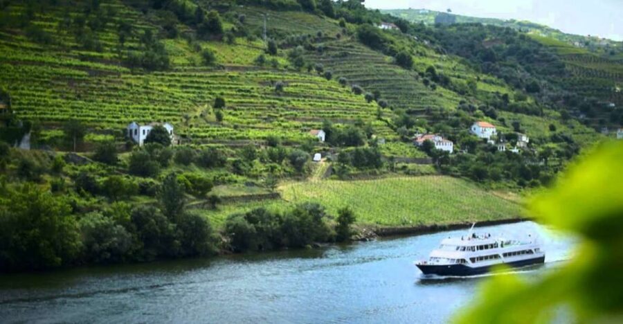 From Porto: Régua to Porto River Cruise with Lunch on Board - Getting the best views and managing the sun