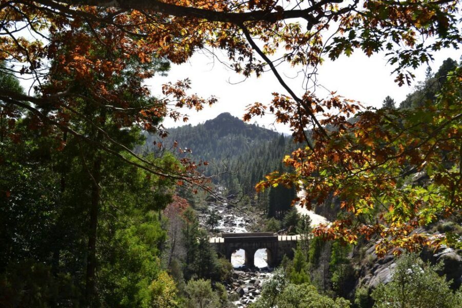 From Porto: Small Group Day Tour of Geres National Park - Waterfalls and Swim Time: The Best Reason to Bring the Suit