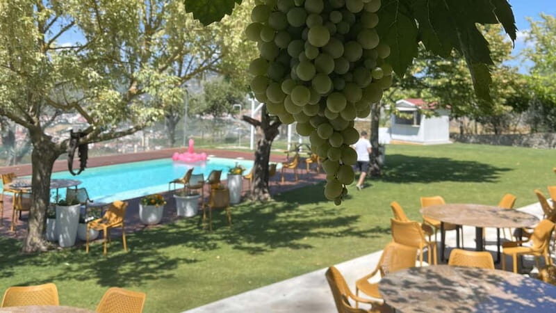 From Porto: Tastings at 2 Wineries, Chef's Lunch & Boat Tour - Price and Value: Why $153 Can Make Sense Here