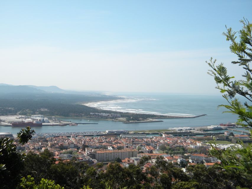 From Porto: Viana Castelo and Ponte Lima Private Tour - Who this tour is best for