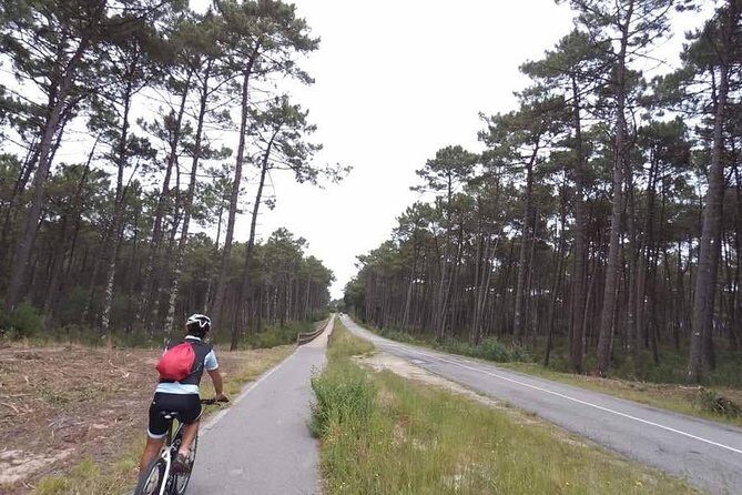 From Porto with view to Gaia: Private Bike Tour #DuckSideOfPorto - Igreja da Confraria das Almas do Corpo Santo de Massarelos: the church stop that adds meaning