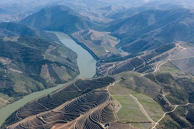 Full Day, Wine Tasting, River Cruise and Lunch from Porto - What you’re really getting: Porto-to-Douro in one focused day