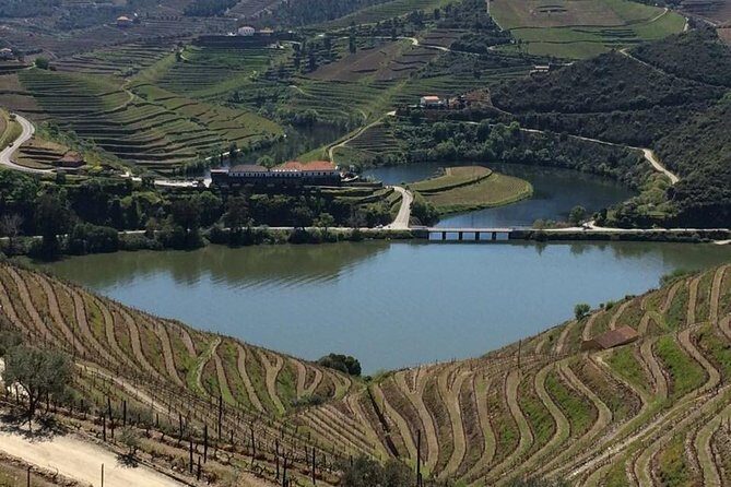 Full Day, Wine Tasting, River Cruise and Lunch from Porto - Who should book this Douro wine + cruise day