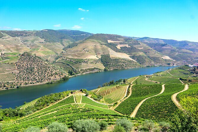 Genuine Douro Valley Tour: Visit 2 Wineries, Lunch & River Cruise - Quinta do Tedo: learning the Port and DOC Douro story