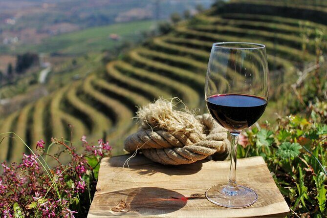 Genuine Douro Valley Tour: Visit 2 Wineries, Lunch & River Cruise - N222 road time: what the drive does for your day
