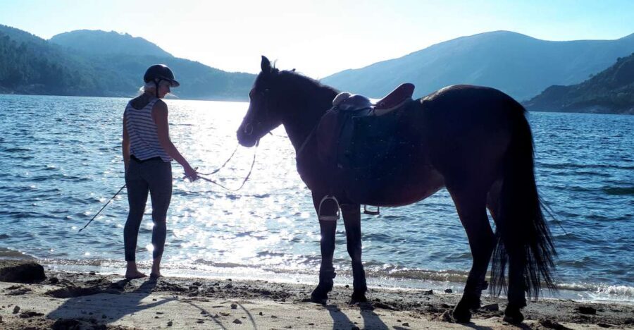 Gerês Braga: Horseback Ride in Peneda Gerês National Park - Key highlights to know before you go