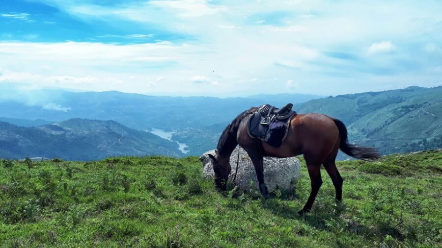 Gerês Braga: Horseback Ride in Peneda Gerês National Park - Peneda-Gerês from the saddle: why this ride is worth your time