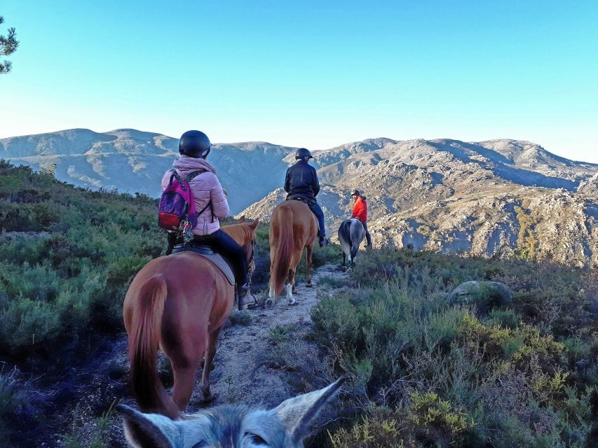 Gerês Braga: Horseback Ride in Peneda Gerês National Park - The 2-hour route: dirt paths, mountain climb, and two unforgettable stops