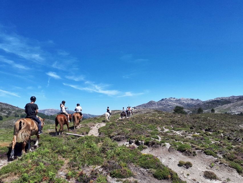 Gerês Braga: Horseback Ride in Peneda Gerês National Park - Should you book Gerês Equi’Desafios horseback ride in Peneda-Gerês?