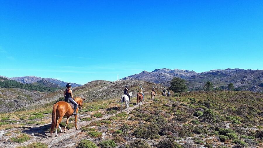 Gerês Braga: Horseback Ride in Peneda Gerês National Park - Getting started at Campo do Gerês: what the first moments feel like