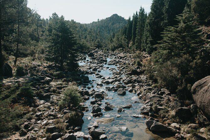 Hidden Gems of Peneda-Gerês National Park on a Full-Day Tour - Price and value: what $117 gets you in real terms