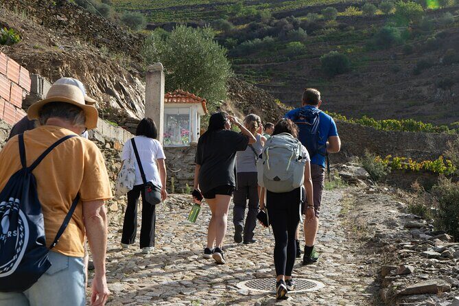 HIKING in the Douro Valley - Coffee stop + wine culture: what the food and tasting experience can look like