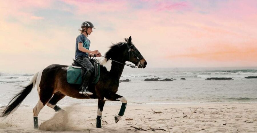 Horseback Riding Tour - Route highlights: flowers, trails, and the beach area (with a legal reality check)