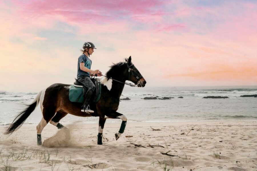 Horseback Riding Tour - What included gear means for your comfort (and your confidence)