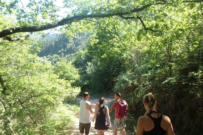 Kayaking and Waterfall in Peneda-Gerês National Park from Porto - Price and Value: Why $133 Feels Fair for What You Get
