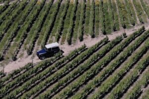 Lamego: Quinta da Portela de Baixo Winery Tour and Tasting - The Wine Cellar Museum: 200 years in one guided walk