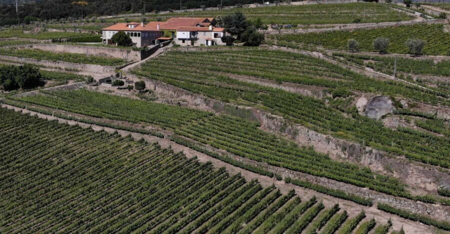 Lamego: Quinta da Portela de Baixo Winery Tour and Tasting - Walking the vineyards and the optional two-farm tour