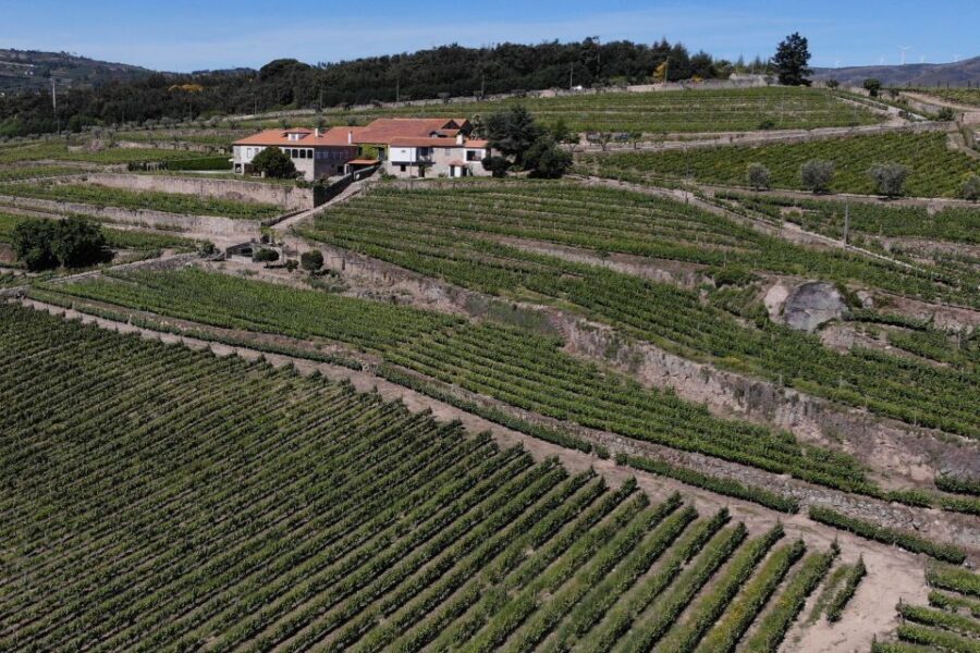 Lamego: Quinta da Portela de Baixo Winery Tour and Tasting - Who should book this wine tour (and who might not love it)